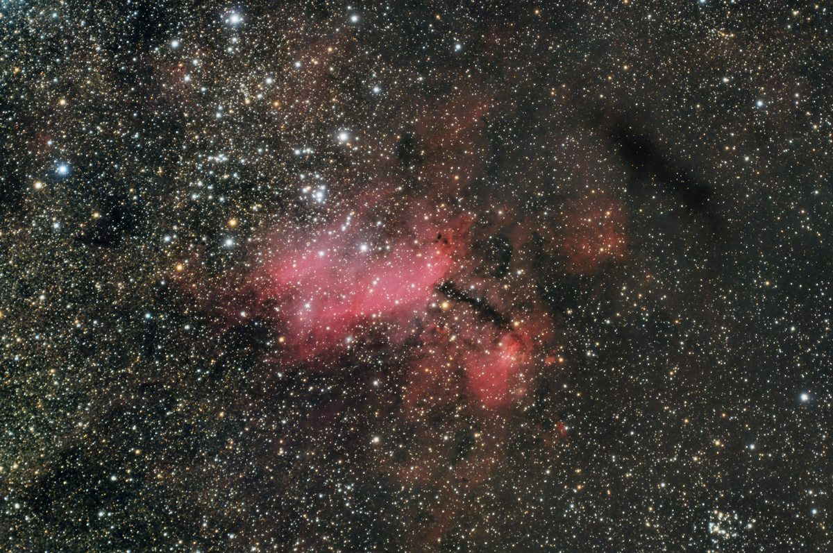 Prawn Nebula 4628